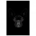 French Bulldog Black Art Print