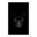French Bulldog Black Art Print