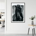 Friesian Horse Art Print