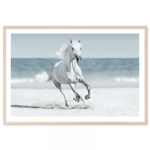 Galloping Horse On Beach Art Print