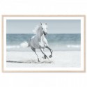 Galloping Horse On Beach Art Print