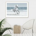 Galloping Horse On Beach Art Print