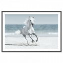 Galloping Horse On Beach Art Print