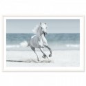 Galloping Horse On Beach Art Print