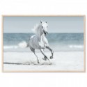 Galloping Horse On Beach Art Print