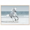 Galloping Horse On Beach Art Print