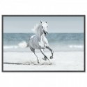 Galloping Horse On Beach Art Print