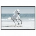 Galloping Horse On Beach Art Print