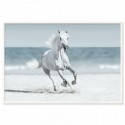 Galloping Horse On Beach Art Print