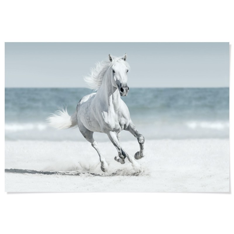 Galloping Horse On Beach Art Print