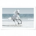 Galloping Horse On Beach Art Print