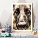 German Shepherd Love Art Print