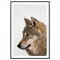 Hello Wolf Art Print