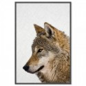 Hello Wolf Art Print