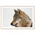 Hello Wolf Landscape Art Print