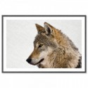 Hello Wolf Landscape Art Print