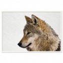 Hello Wolf Landscape Art Print