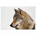 Hello Wolf Landscape Art Print