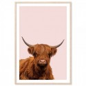 Highland Cow Art Print