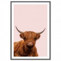 Highland Cow Art Print