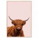 Highland Cow Art Print