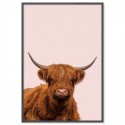 Highland Cow Art Print