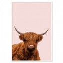 Highland Cow Art Print