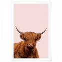 Highland Cow Art Print