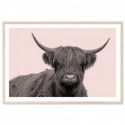 Highland Cow Vintage Art Print