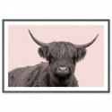 Highland Cow Vintage Art Print