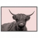Highland Cow Vintage Art Print