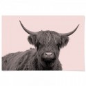 Highland Cow Vintage Art Print