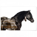 Horse American Indian Pattern Art Print