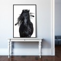 Horse Warrior Art Print