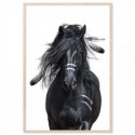 Horse Warrior Art Print