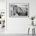 Icelandic Horse Art Print