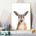 Kangaroo Art Print