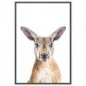 Kangaroo Art Print