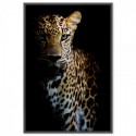 Leopard Grace Art Print