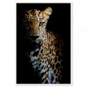 Leopard Grace Art Print