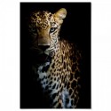 Leopard Grace Art Print