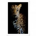 Leopard Grace Art Print