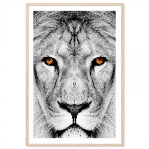 Lion Dream Art Print