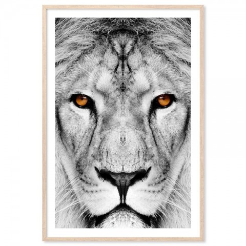 Lion Dream Art Print