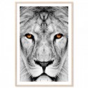 Lion Dream Art Print