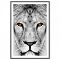 Lion Dream Art Print