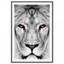 Lion Dream Art Print