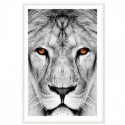 Lion Dream Art Print