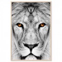 Lion Dream Art Print