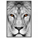 Lion Dream Art Print